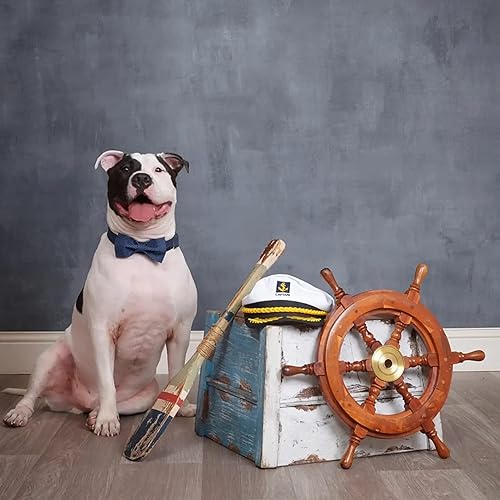 Miniatura 3 de Collar ajustable Lionet con forma de pajarita para gatos y perros. Suave y cómodo, s, Azul (Blue point)