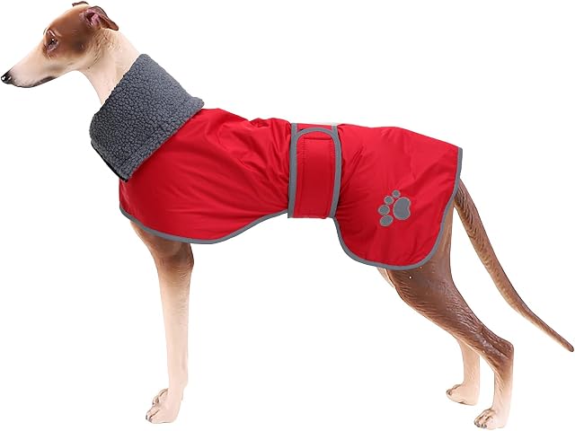 Dog Winter Coat Geyecete Greyhound raincoat fabric with lamb velvet inside Outdoor Dog Apparel with Adjustable Bands For Medium, Large Dog-Red-M
