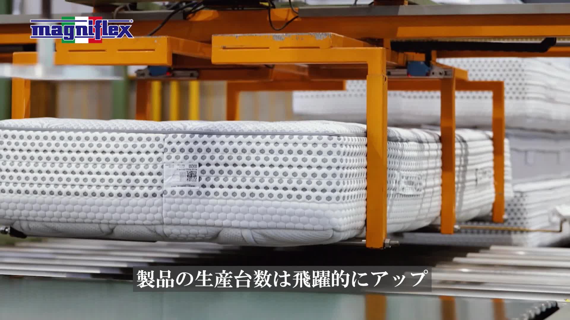 Amazon｜Magniflex(マニフレックス) ピローグランデ用 ピローケース 
