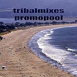 Developing Windenergy (Progressive House Mix)