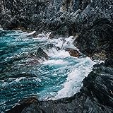 rose tickets  Ticket Rose