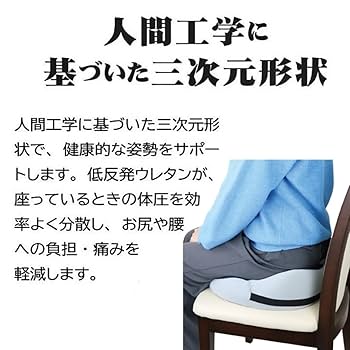 Amazon.co.jp: AiS to you 座布団 姿勢矯正 エルゴクッション