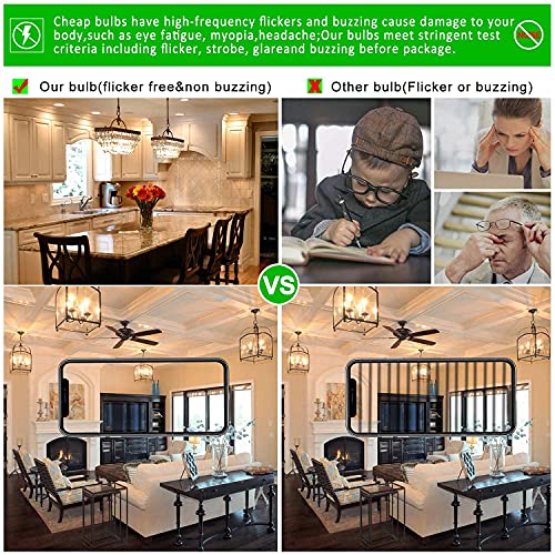 LiteHistory Dimmable E12 LED Candelabra Bulb Bundle #TOP22