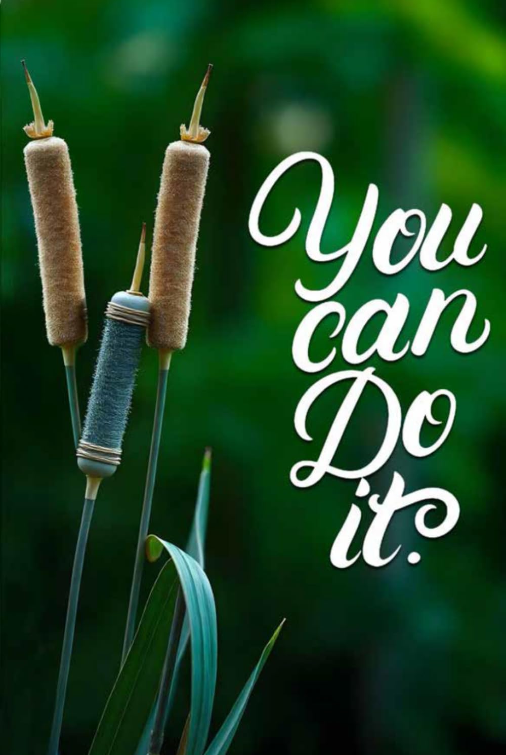 You Can Do It