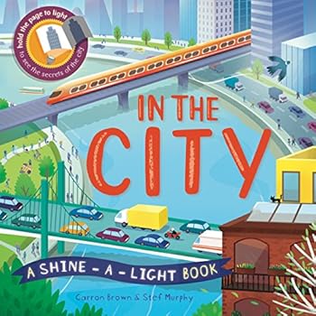 In The City: A shine-a-light book