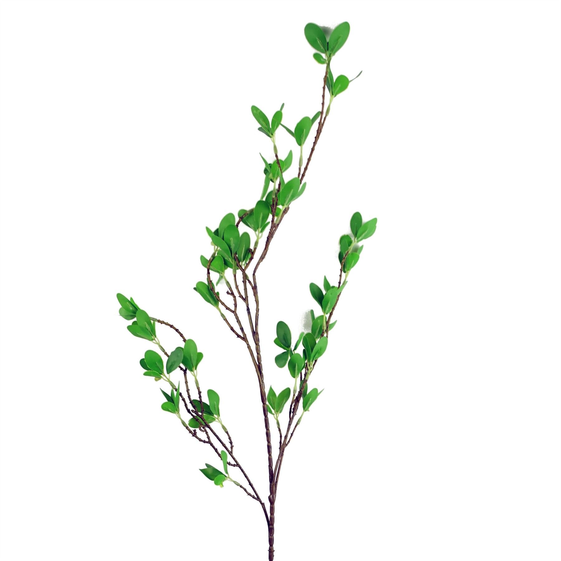 Blue Pirate 100Cm Mini Leaf Ficus Stem