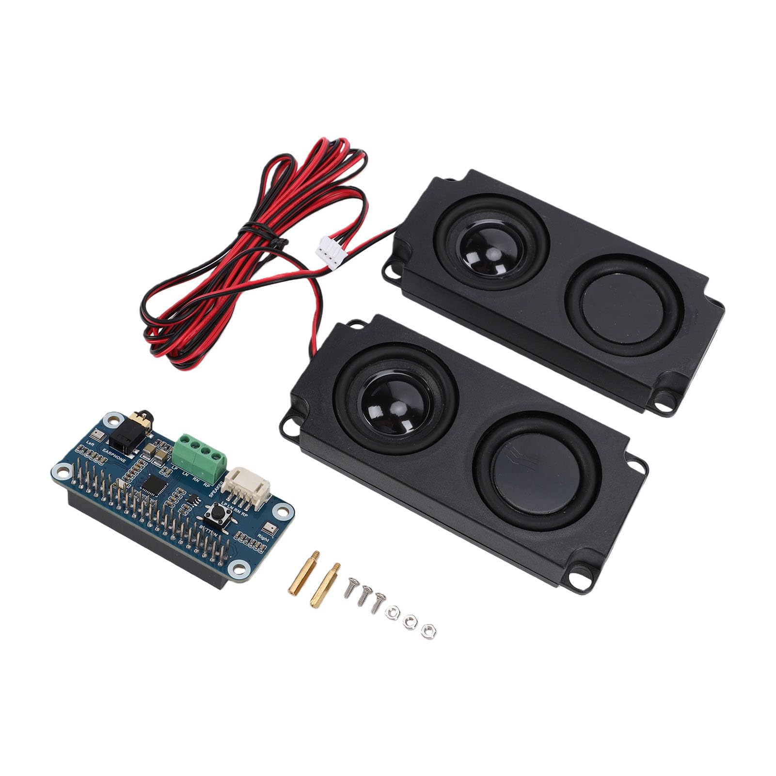 Bewinner Scheda di Espansione Scheda Audio per RasPi 5 4B, Decoder Stereo WM8960