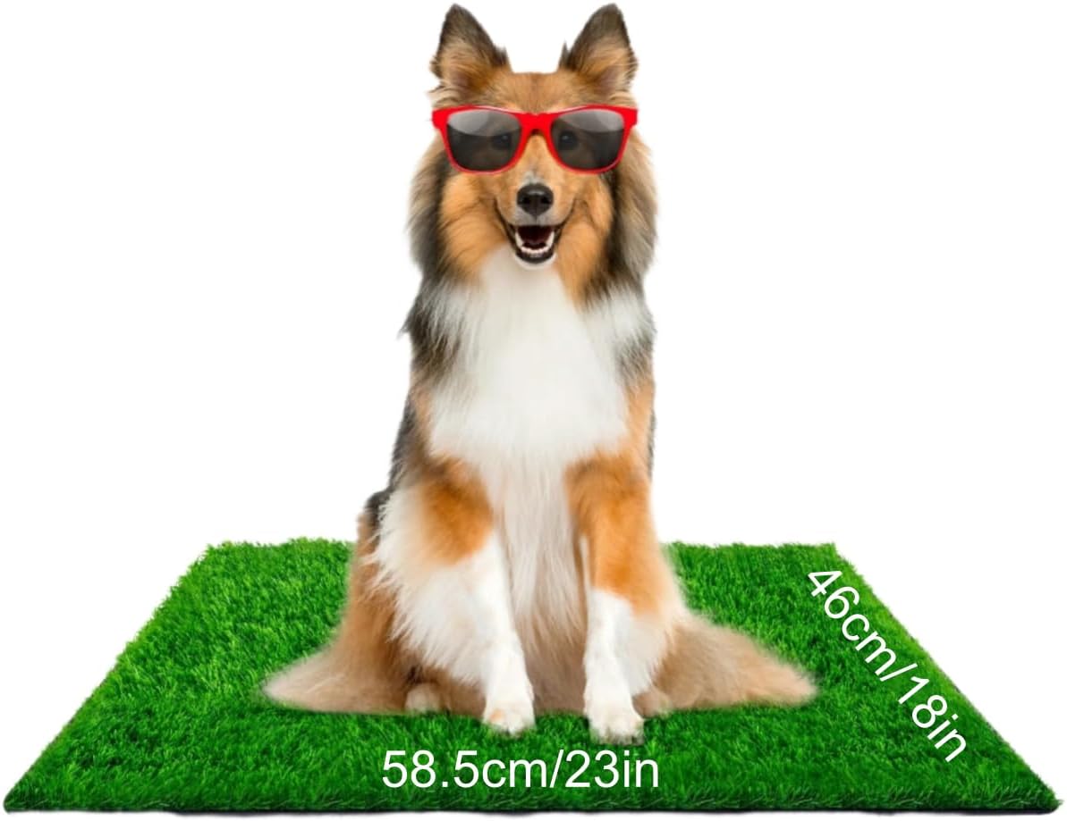 Mumoo Bear Puppy Potty Pad with Artificial Grass Mat, Dog Pee Pads, Turf Replacement for Trainer Indoor/Outdoor Use (46 x 58.5 cm)