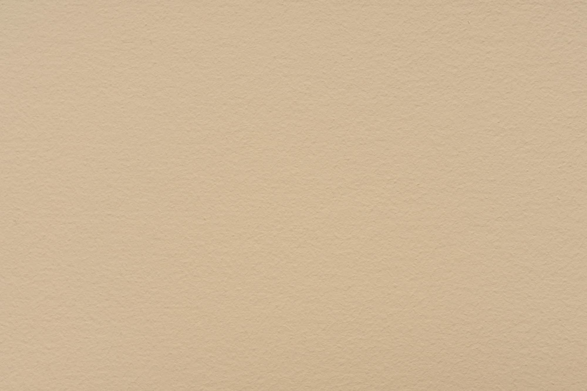 LEINOS Set de pintura para paredes (2,5 l, resina natural de emulsión 660 + 125 ml de pigmento concentrado 668.311 ocre Havanna