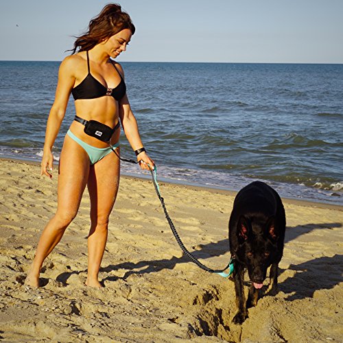 Black Rhino - Premium Hands Free Dog Leash For Running Walking Jogging & Hiking - Adjustable Length Dual Handle Bungee Leash Medium – Large Dogs Neoprene Padded Handles - Running Pouch Included Aqua #TOP4