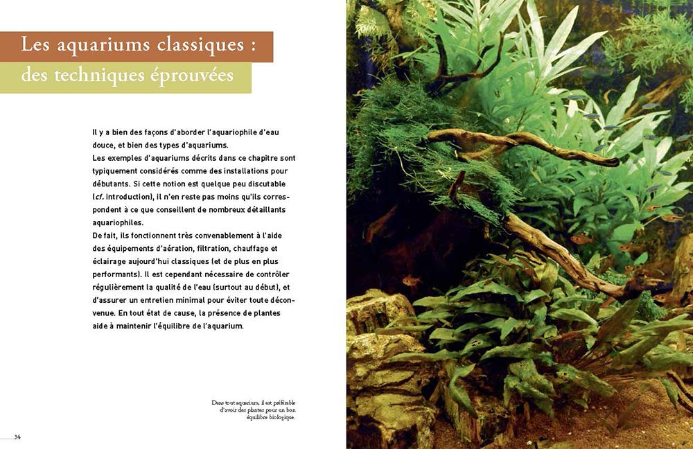 L'aquarium d'eau douce - Guide pratique du débutant