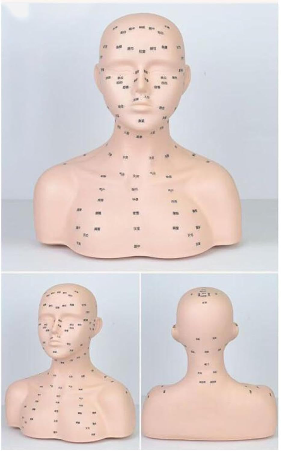 Mannequin Head with Shoulders Multipurpose Lightweight Manikin Head Model with Acupressure Point for Home Travel