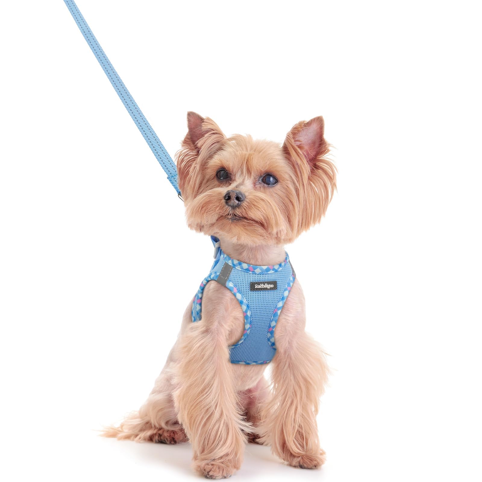 rabbitgoo Dog Harness Small Dog and Leash Set, Step-in Soft Mesh Puppy Harness with Reflective Strips, Lightweight Breathable Pet Vest for Walking Training, Blue & Plaid Trim, XXS