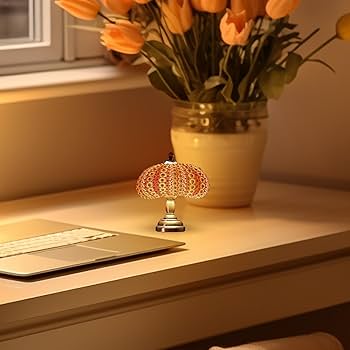 Amazon.co.jp : Geonoyウニナイトライト、クリエイティブな