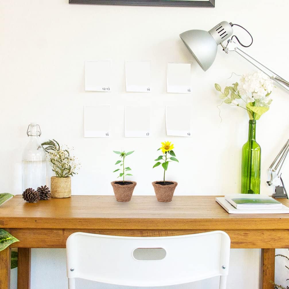 Happyyami 20Pcs Coir Planter Nursery Pots Biodegradable Seedling Germination Peat Pot Indoor Outdoor Garden Pots for Your Garden Greenhouse or Nursery : Patio, Lawn & Garden