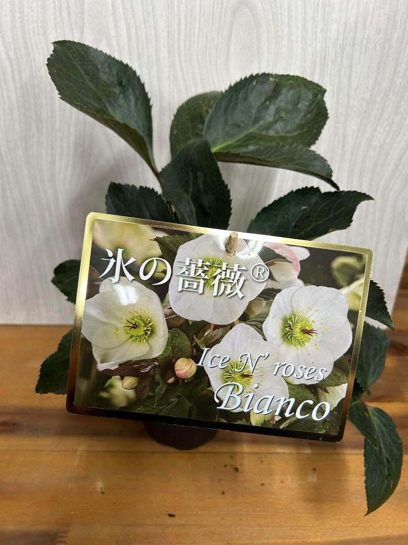 フラワーディフューザー(ピンク&パープル)/柑橘系の香り 花束 ピンク 系