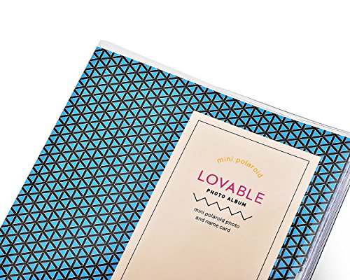 DSstyles Questi amabili portatile 64 Fuji Instant