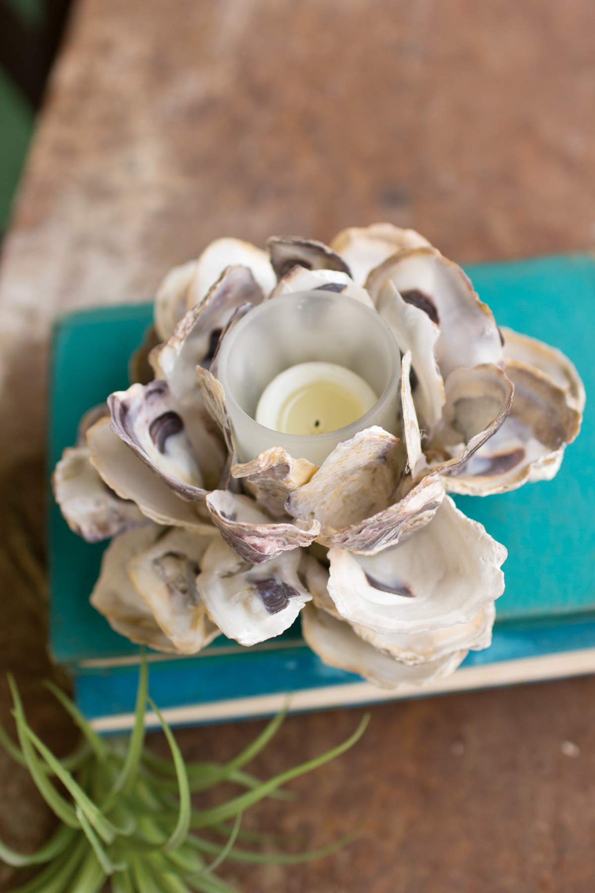 KALALOU Oyster Shell Flower Votive Holder Set of 4