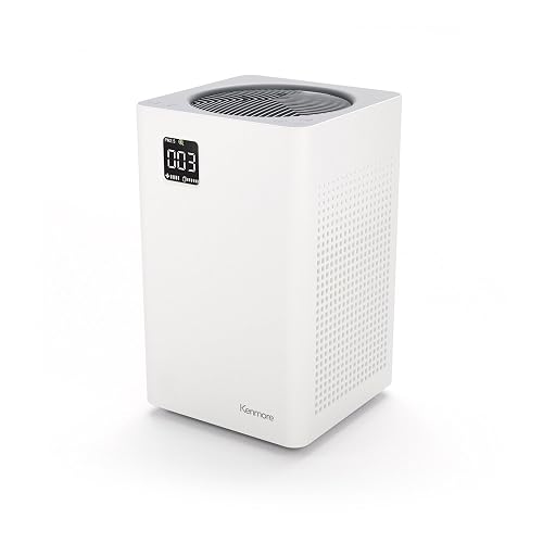 Kenmore H13 True HEPA Air Purifier PM2010