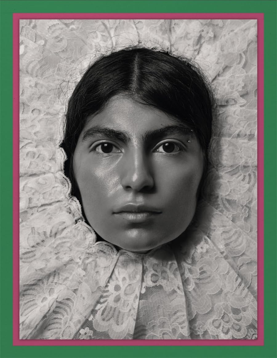 Pieter Henket: Birds of Mexico City