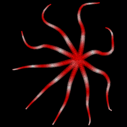 A Giant Squid Live Wallpaper Amazon de Appstore For Android