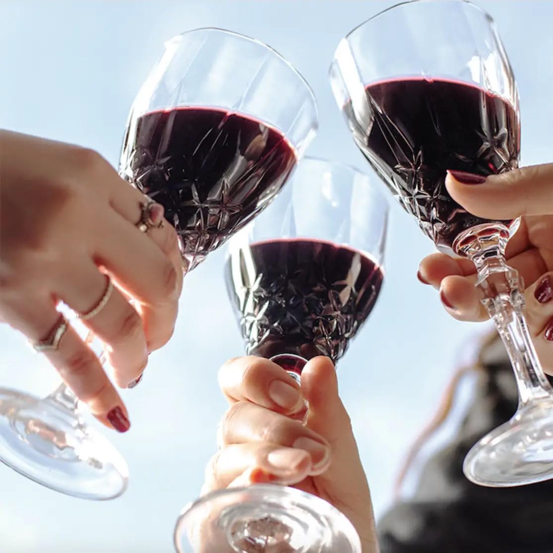 Grand Sud - Vin Rouge désalcoolisé, Merlot sans alcool (6 x 1 L)