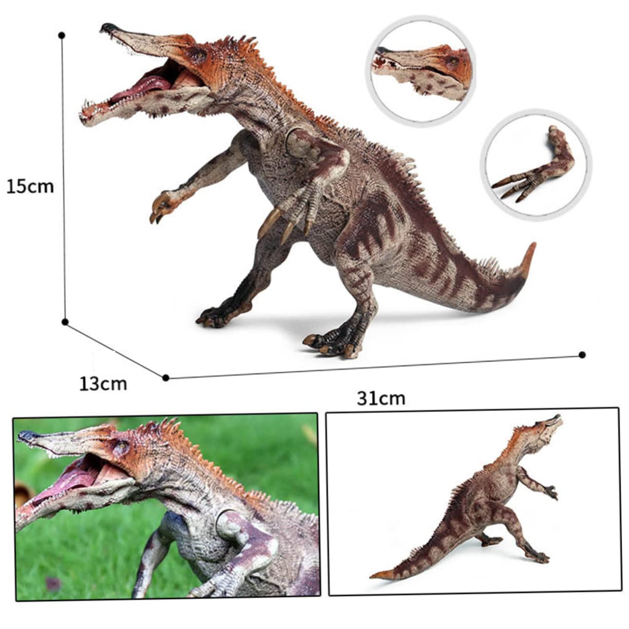 1 Pz Baryonyx Educativo per Design Realistico e Chic per Feste Compleanno e Decorazioni