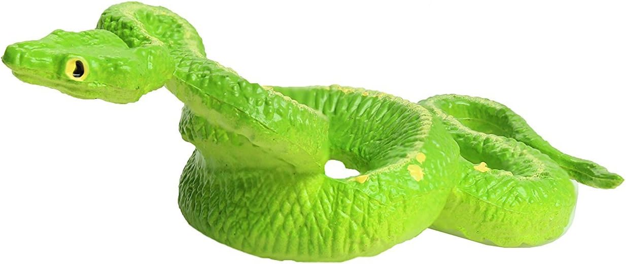 Safari Ltd Rainforest TOOB