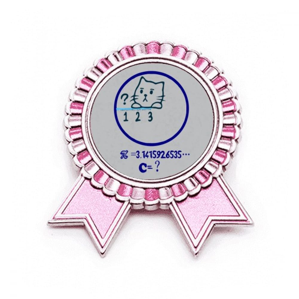 Broche chat et problème de mathématique cercle pour look enseignant - 4