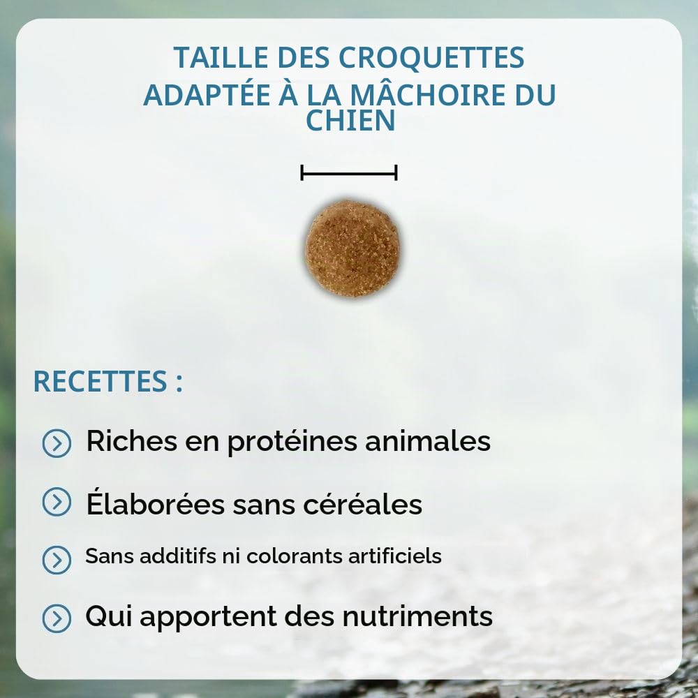 NUTRIVET - INNE Chien - Croquettes sans Céréales - Chien Adulte - Poisson - 80% d'ingrédients d'origine Animale - 12 kg
