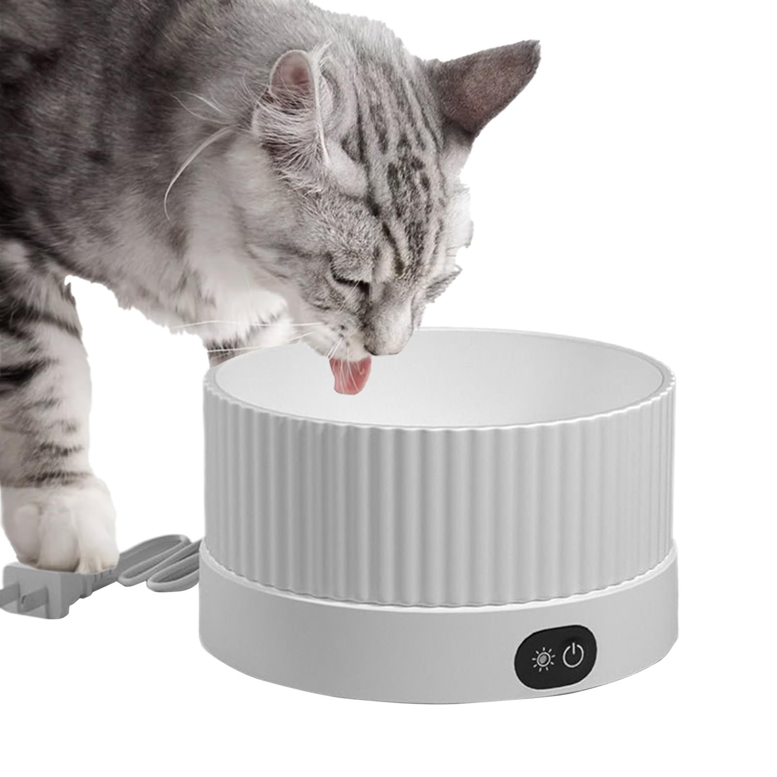 Écuelle d'eau chauffante pour chiens à 3 niveaux de température pour l'hiver