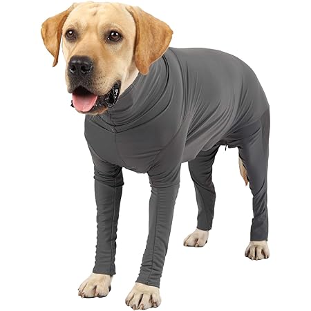 shed proof dog clothes
