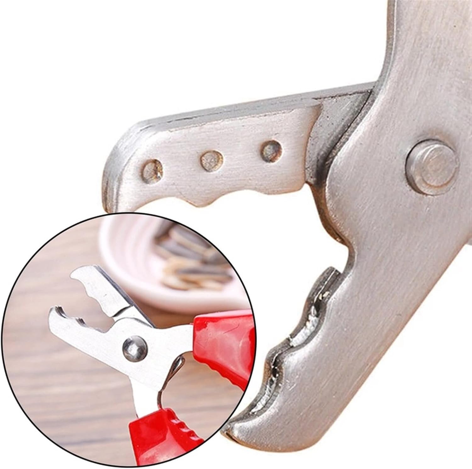 Nutcracker, Peanut Nut Walnut Nutcracker Seed Pistachio Opener Peeling Pliers Clamp Cracker Melon Seeds Plier Kitchen Tools (Red)