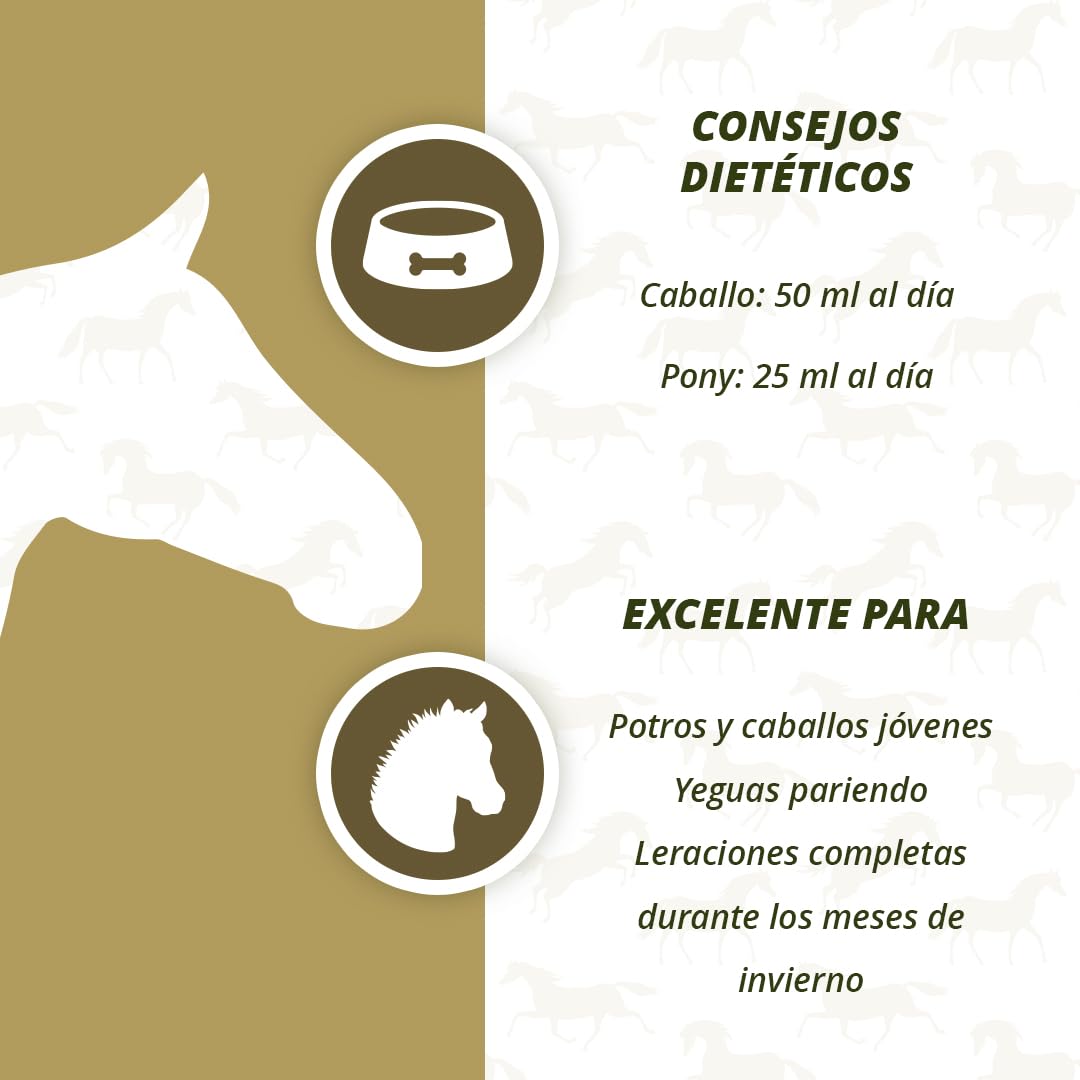 EXCELLENT Suministros Para El Cuidado De La Salud Aceite De Hígado