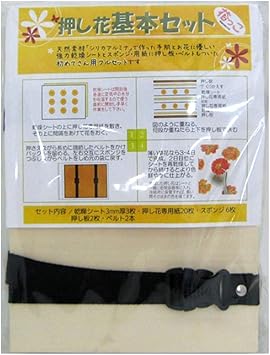 Amazon 花っこ押し花基本セット Os953 ドライフラワー オンライン通販 Amazon 花っこ押し花基本セット Os953 ドライフラワー オンライン通販