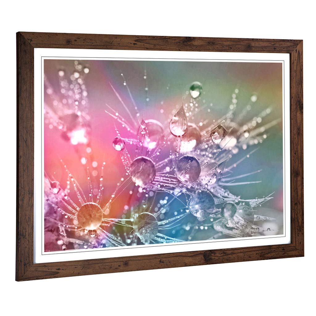 Big Box Art Framed Print of Flower Drops of Water on Dandelion Seeds Design | Wall Art Picture | Home Decor for Kitchen, Living Room, Bedroom, Hallway, Walnut, A2 / 24.5x18 Inch / 62x45cm