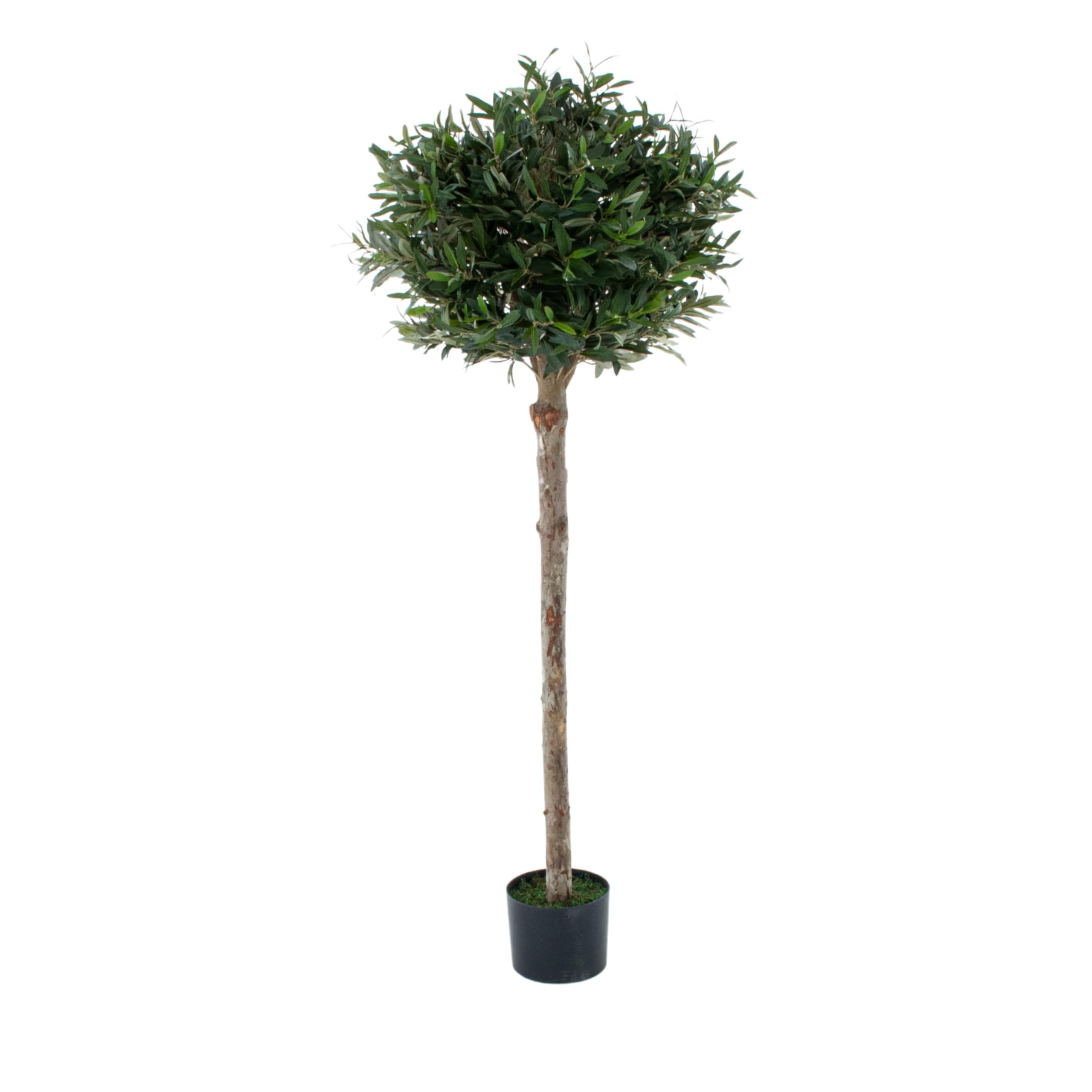 Artificial Olive Tree, Topiary Faux Tree, Premium Quality Real Wood Trunk, Natural Appearance Leaves, UV Protected, Indoor and Outdoor Use