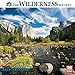 The Wilderness Society 2018 Wall Calendar (CA0172)
