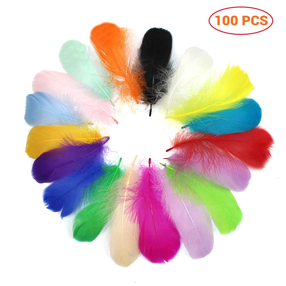 Qeedio Feathers for Crafts 100Pcs Colorful Feathers for DIY Arts And Crafts Wedding Home Party Easter Decorations Accessories