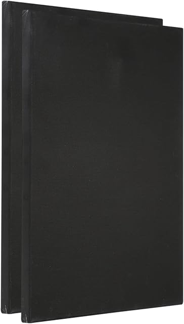 PATIKIL Paint Canvases for Painting, 2 Pack 12x16 Inch Rectangle Wood Frame Stretched Blank Art Board Panels for Acrylic, Oil, Tempera Painting, Black