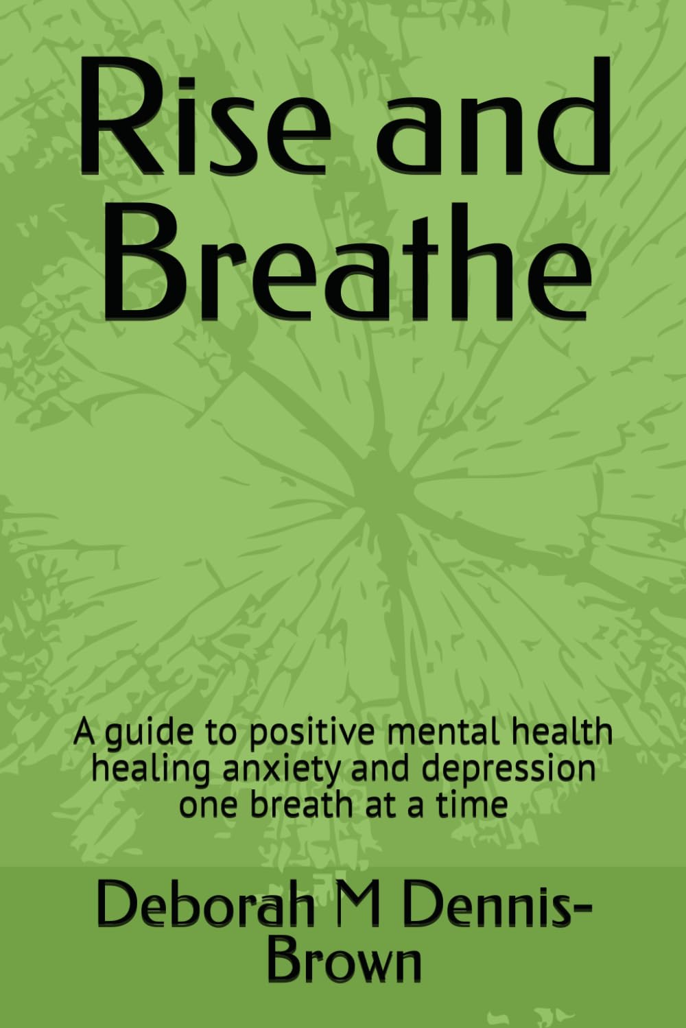 Rise and Breathe: A guide to positive mental health healing anxiety and depression one breath at a time
