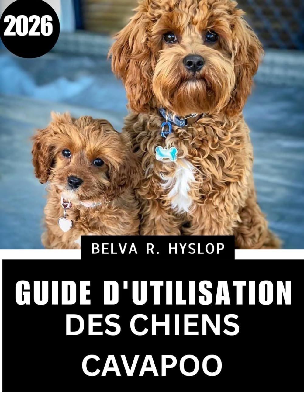 Guide d'utilisation des chiens Cavapoo2026: Soins étape par étape pour un compagnon heureux et en bonne santé