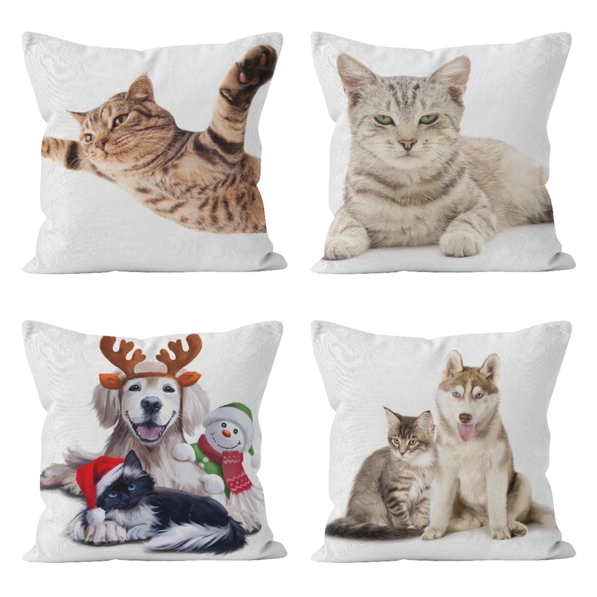 Housse de coussin de jardin idéale pour protéger votre canapé des chiens