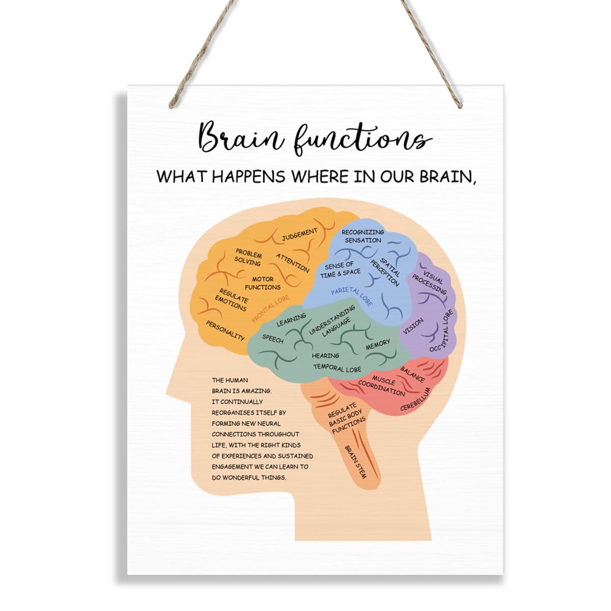Brain Functions Wood Sign, Therapy Decorations, Hanging Wooden Plaques Decor, Psychologist Office Wall Art, Psychotherapy Office Hanging Decor, Mental Health Decor Sign, Neurologist Gift-image-21