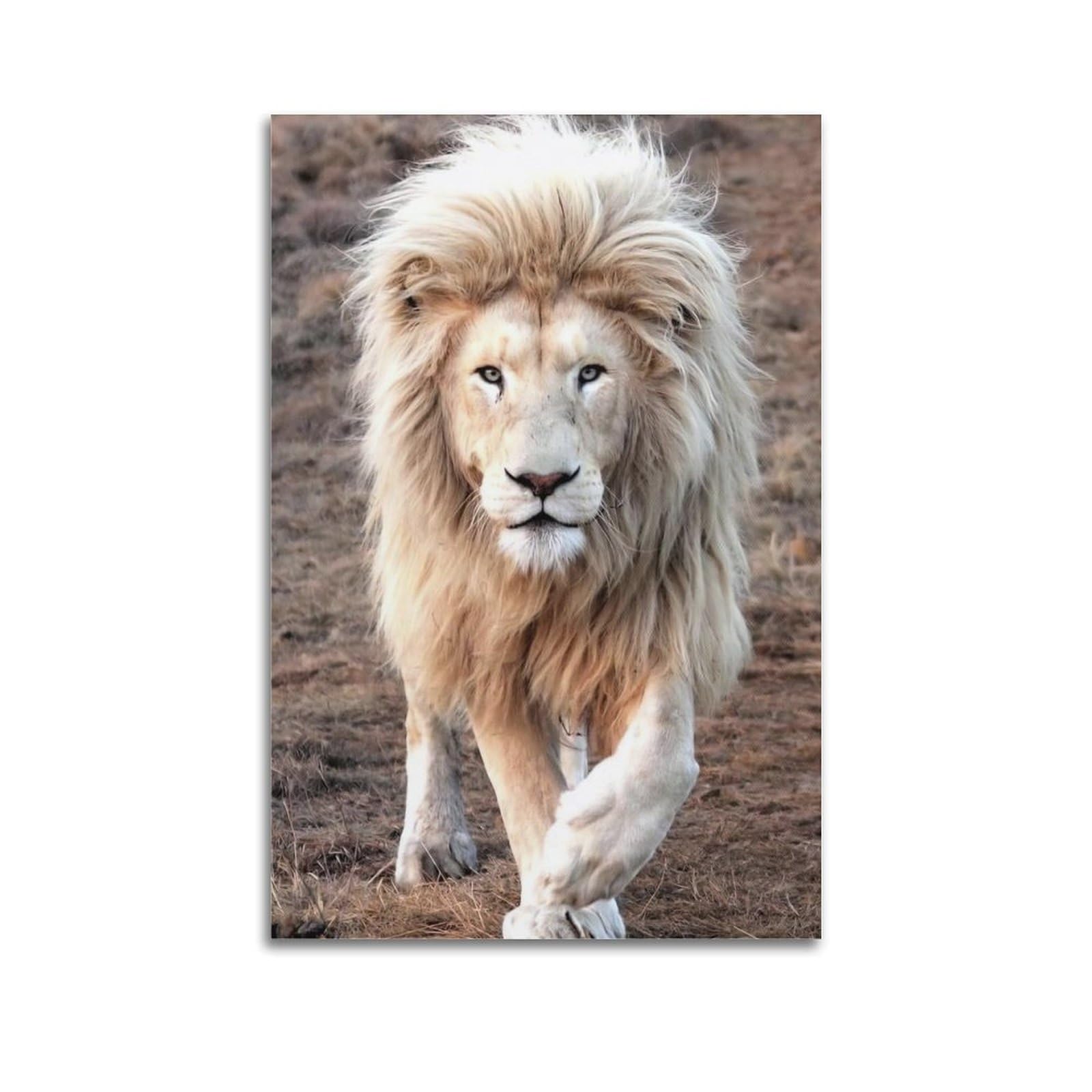 ZSZWHJ Wildlife Poster White Lion Poster Decorative Painting Canvas Wall Posters And Art Picture Print Modern Family Bedroom Decor Posters 24x36inch(60x90cm)