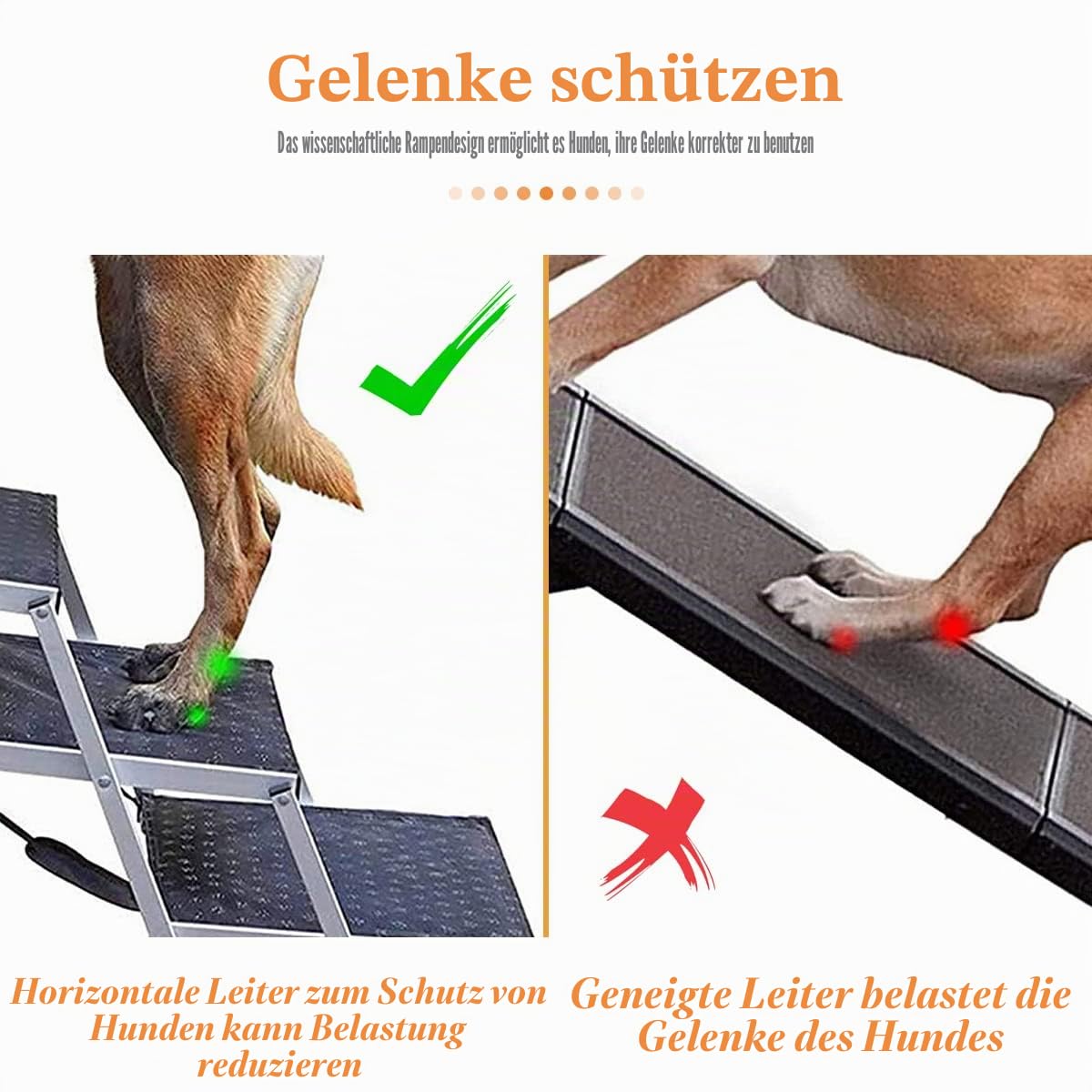 hundetreppe große Hunde - Hundetreppe Auto 4 Stufen - Klappbare Aluminium Hundetreppe Ultra-Leicht - Hochwertige Autotreppe für Hunde bis 70kg