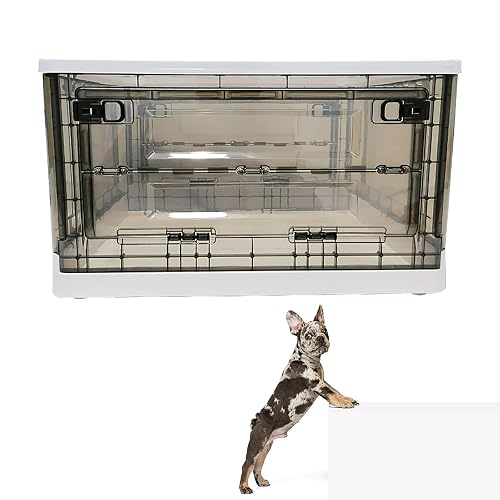 Caja de nebulización para cachorros