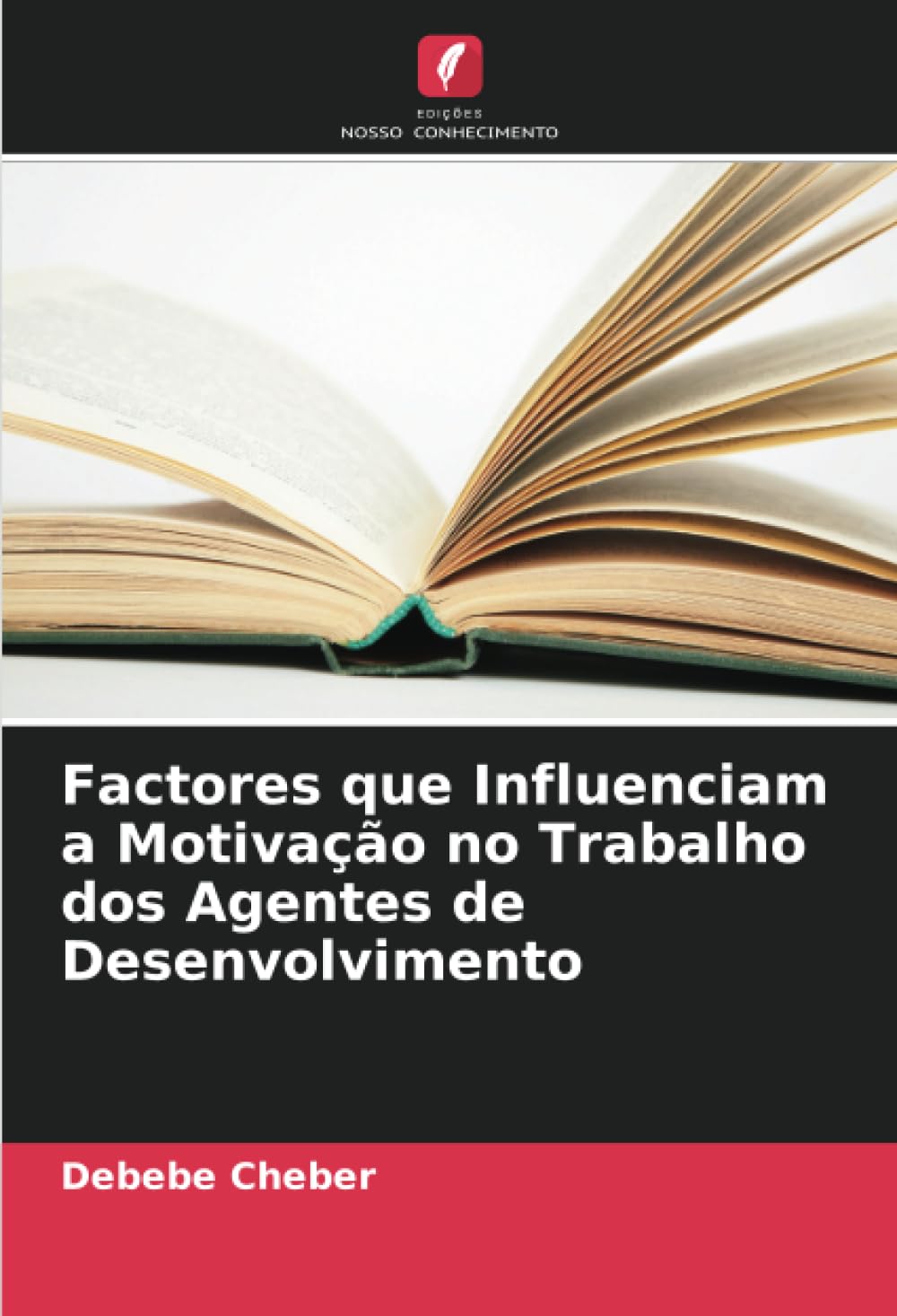 Factores que Influenciam a Motivação no Trabalho dos Agentes de Desenvolvimento