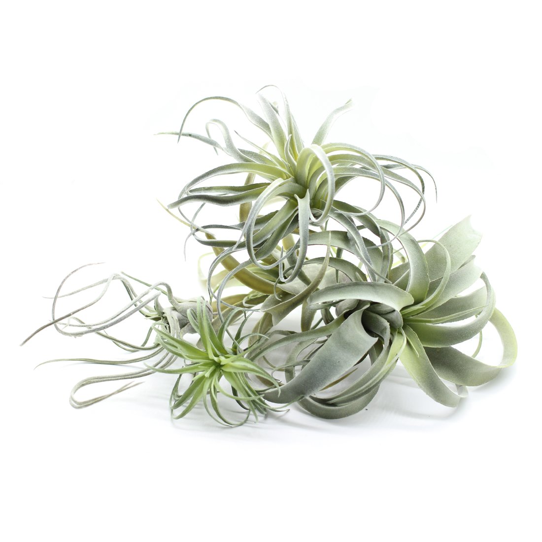 Bromeliads artificiales para decoración de interiores y exteriores, jardín, decoración del hogar, terrario, arreglos, oficina y pantallas