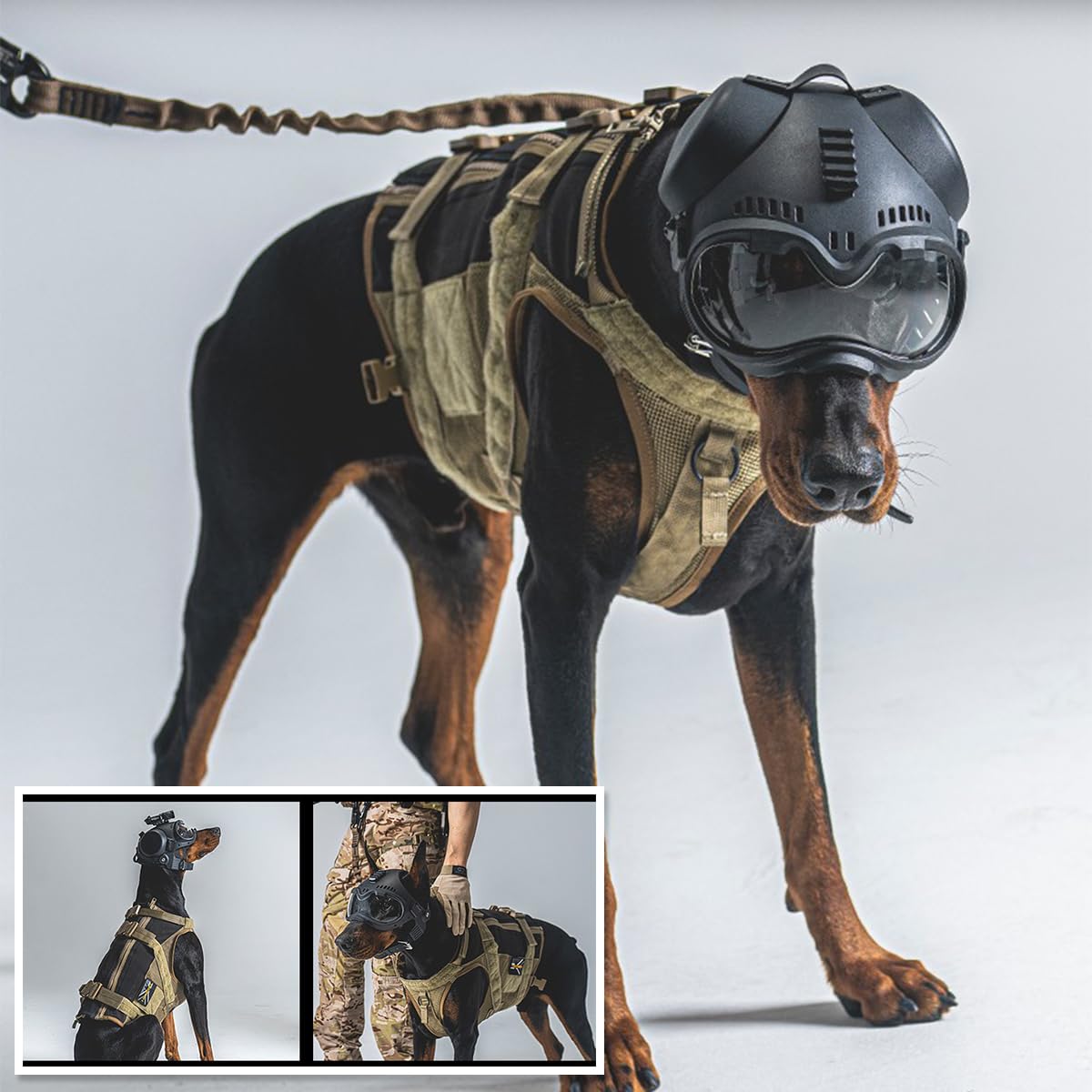 Jungle Leopard K9 Jagdhund Taktischer Helm Outdoor Schutzbrille for Belgische Holländische Terrier Deutscher Schäferhund Durchschnittliche Größe